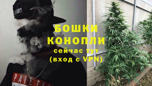 ALPHA PVP Верея